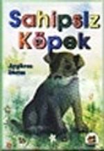 Sahipsiz Köpek