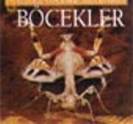 Böcekler