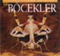 Böcekler