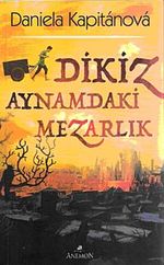Dikiz Aynamdaki Mezarlık