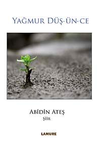 Yağmur Düş-Ün-Ce