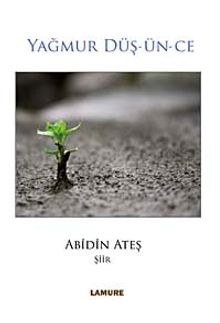 Yağmur Düş-Ün-Ce