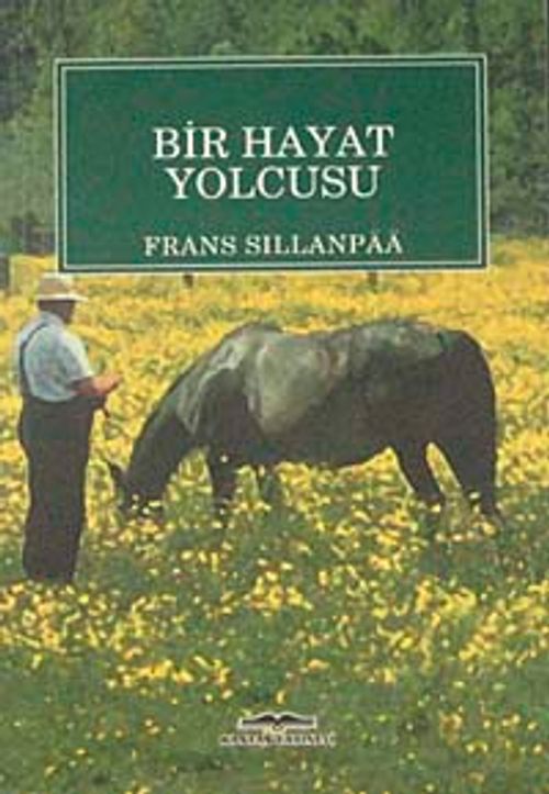 Bir Hayat Yolcusu