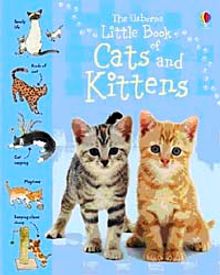 Little Book of Cats and Kitten