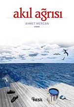 Akıl Ağrısı