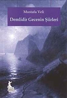Demlidir Gecenin Şiirleri