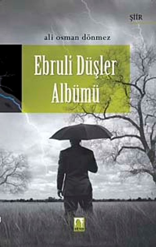 Ebruli Düşler Albümü