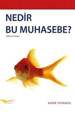 Nedir Bu Muhasebe?