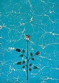 İsimsiz / Tüzin Tiryaki (TTU 004-70x100) (Çerçevesiz)