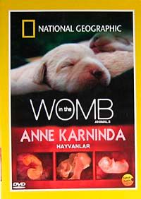 Anne Karnında Hayvanlar (DVD)