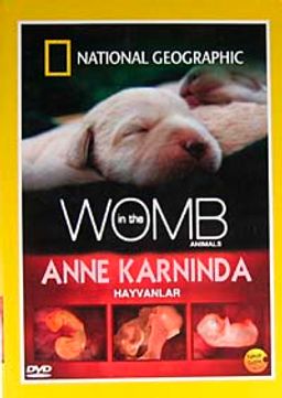 Anne Karnında Hayvanlar (DVD)