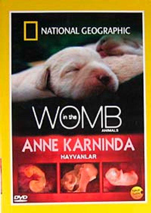Anne Karnında Hayvanlar (DVD)