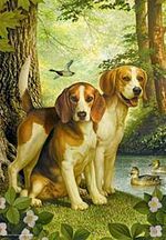 Av Köpekleri 500 Parça (33x48-Kod:3528)