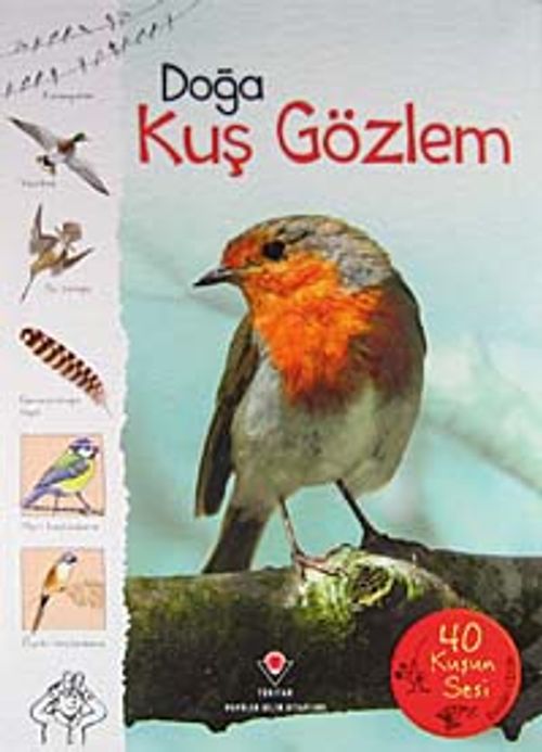 Doğa-Kuş Gözlem