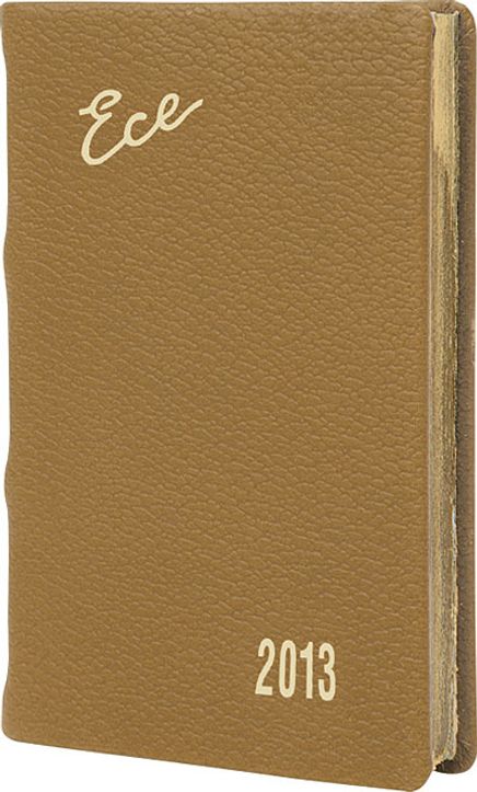 2013 Ece Ajanda - Muhtıra Serisi 1D Cep (Ürün Kod:1) Taba