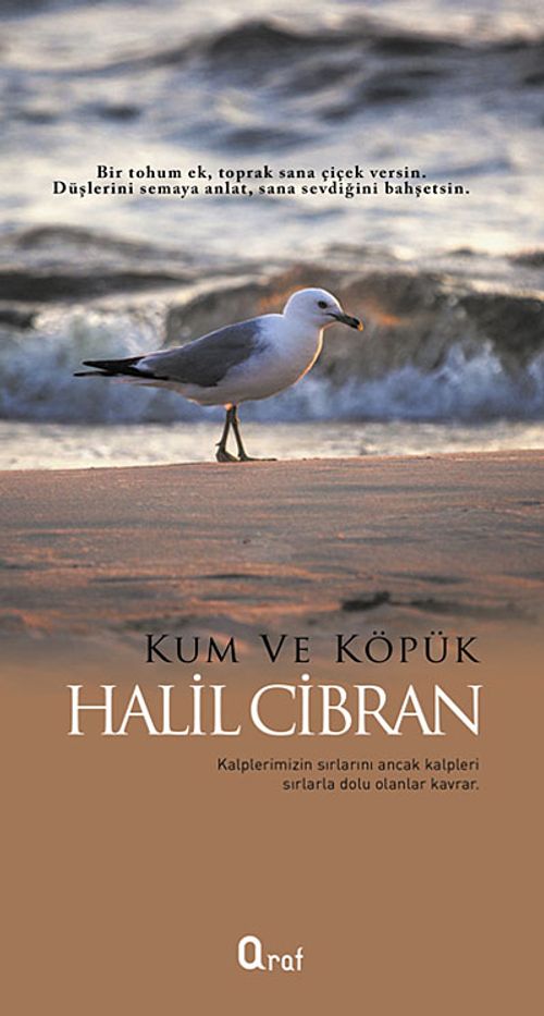 Kum ve Köpük
