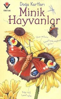 Doğa Kartları / Minik Hayvanlar