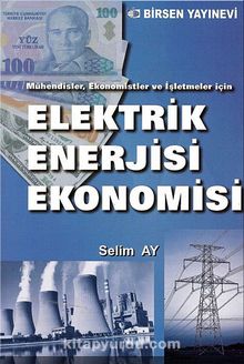 Elektrik Enerjisi Ekonomisi & Mühendisler, Ekonomistler ve İşletmeler İçin