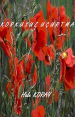 Korkusuz Uçurtma