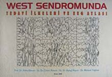 EEG Atlası & West Sendromunda Tedavi İlkeleri