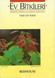 Ev Bitkileri & Resimli Tanıtım ve Bakım Kılavuzu