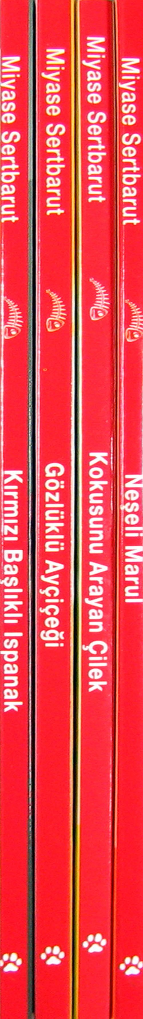 Doğa Dostu Masallar Dizisi (4 Kitap)