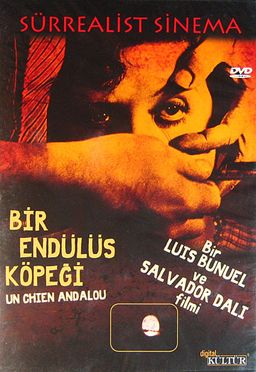 Bir Endülüs Köpeği - Un Chien Andalou (DVD)