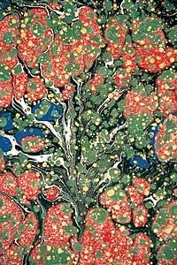 İsimsiz / Tüzin Tiryaki (TTU 012-50x75) (Çerçevesiz)