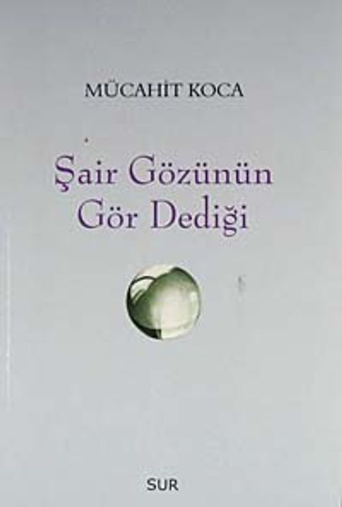 Şair Gözünün Gör Dediği