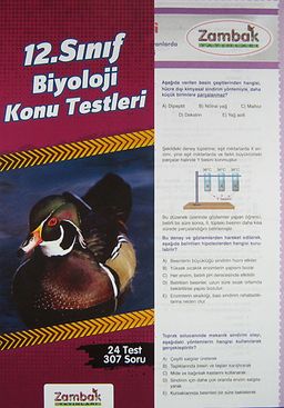 12. Sınıf Biyoloji Konu Testleri (24 Test)