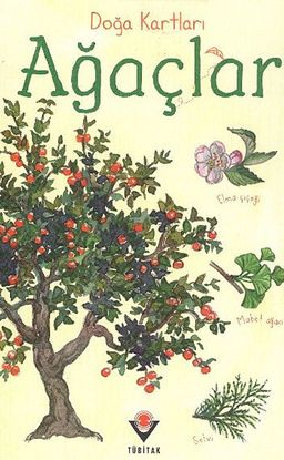 Doğa Kartları / Ağaçlar