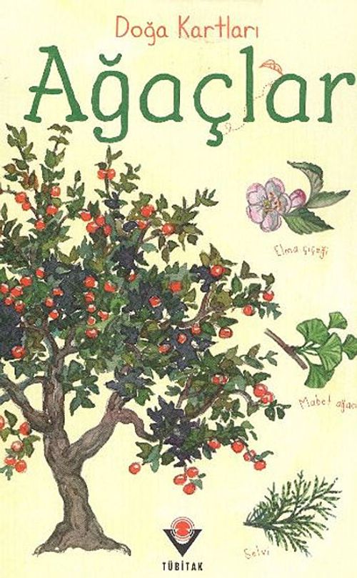 Doğa Kartları / Ağaçlar