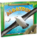 Muhteşem Planör Albatros / Hayvanların Gizemli Dünyası -7