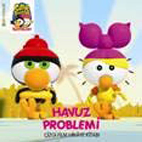 Havuz Problemi