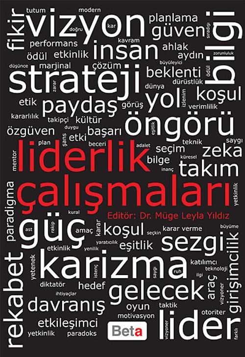 Liderlik Çalışmaları