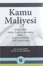 Kamu Maliyesi & Maliye Tarihi, Maleyi Teorisi ve Ekonomisi, Bütçe, Vergi Usul Hukuku, Türk Vergi Sistemi