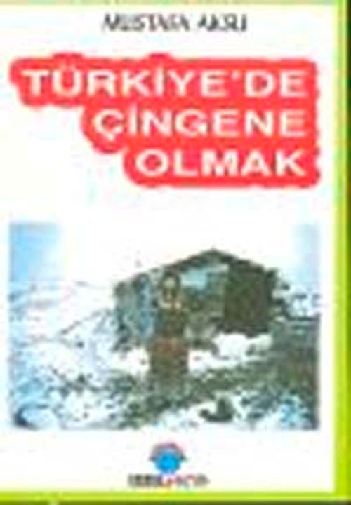 Türkiye'de Çingene Olmak