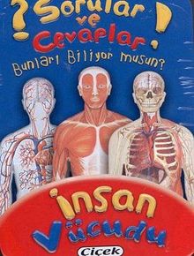 İnsan Vücudu (Kart) / Sorular ve Cevaplar Dizisi 3