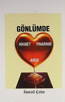 Gönlümde Hikmet Pınarının Arısı