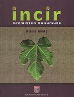 İncir & Geçmişten Günümüze