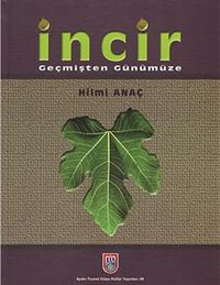 İncir & Geçmişten Günümüze