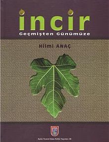 İncir & Geçmişten Günümüze