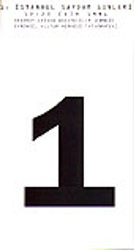 1. İstanbul Saydam Günleri