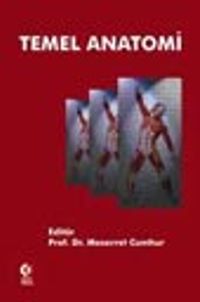 Temel Anatomi