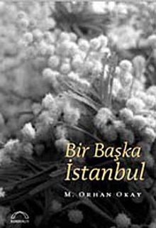 Bir Başka İstanbul