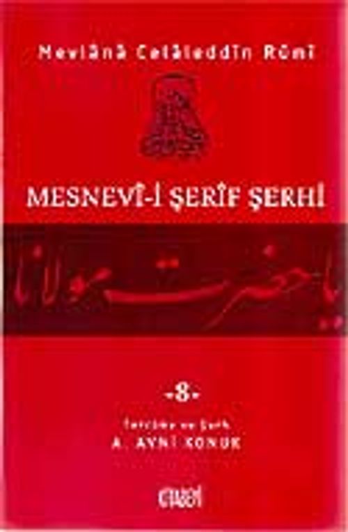 Mesnevi-i Şerif Şerhi 8