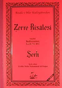 Zerre Risalesi
