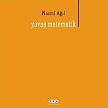 Yavaş Matematik
