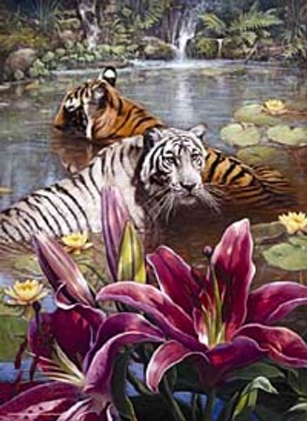 İki Kaplan 1000 Parça (48x66-Kod:3098)