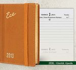 2013 Ece Ajanda - Muhtıra Serisi 2DL Cep (Ürün Kod:2) Taba